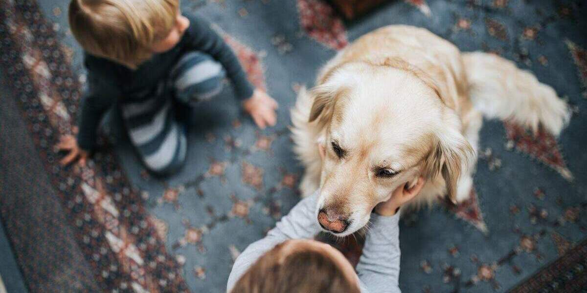 Einfamilienhaus Simmerath - 6 Zimmer, 123 m&sup2;, 399.074&euro; | Angebot:25358211