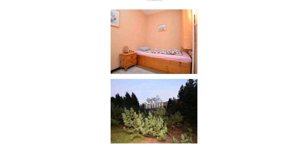 Erdgeschoßwohnung Goslar OS Hahnenklee-Bockswiese - 2 Zimmer, 48 m&sup2;, 55.000&euro; | Angebot:27163133
