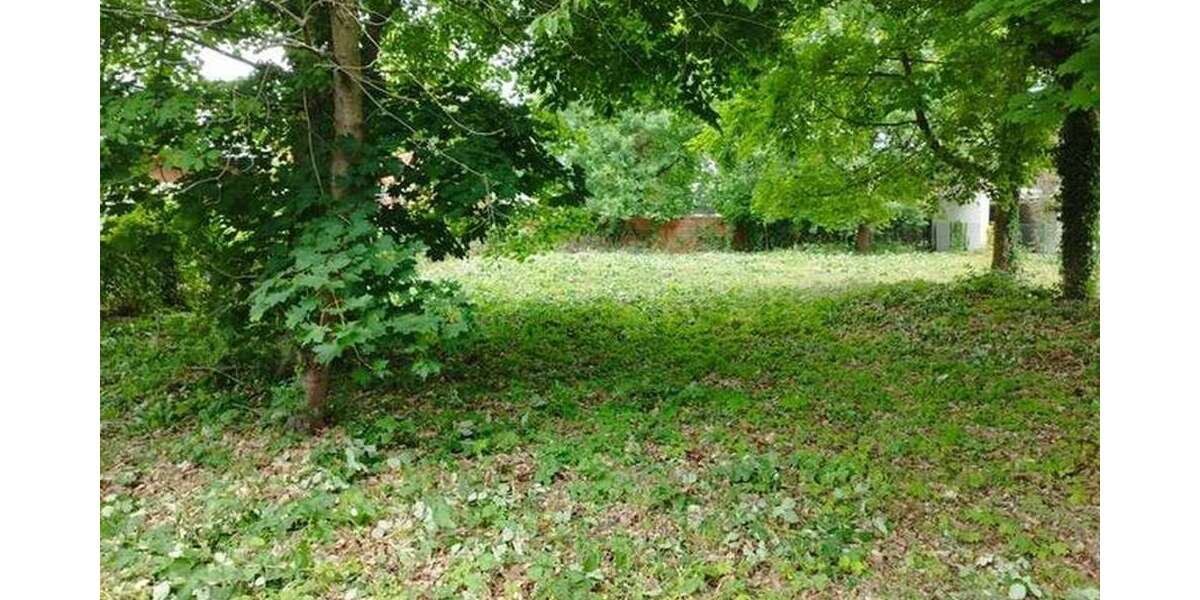 Grundstück Potsdam - 810.000&euro; | Angebot:26071166