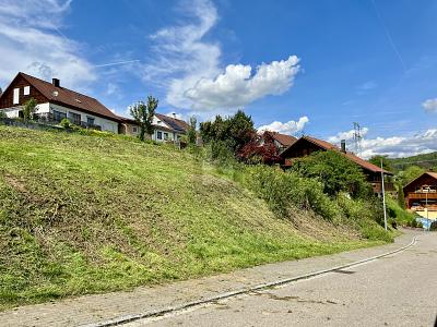 NATURNAH MIT AUSSICHT: ERSCHLOSSEN - Grundstück Schwörstadt | Angebot:26786299