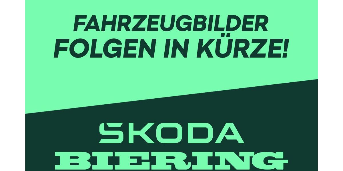 Skoda Scala 10.000 km 22.600 &euro; Schwielowsee OT Geltow 14548