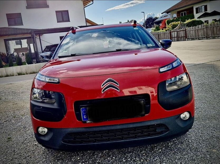 C4 Cactus