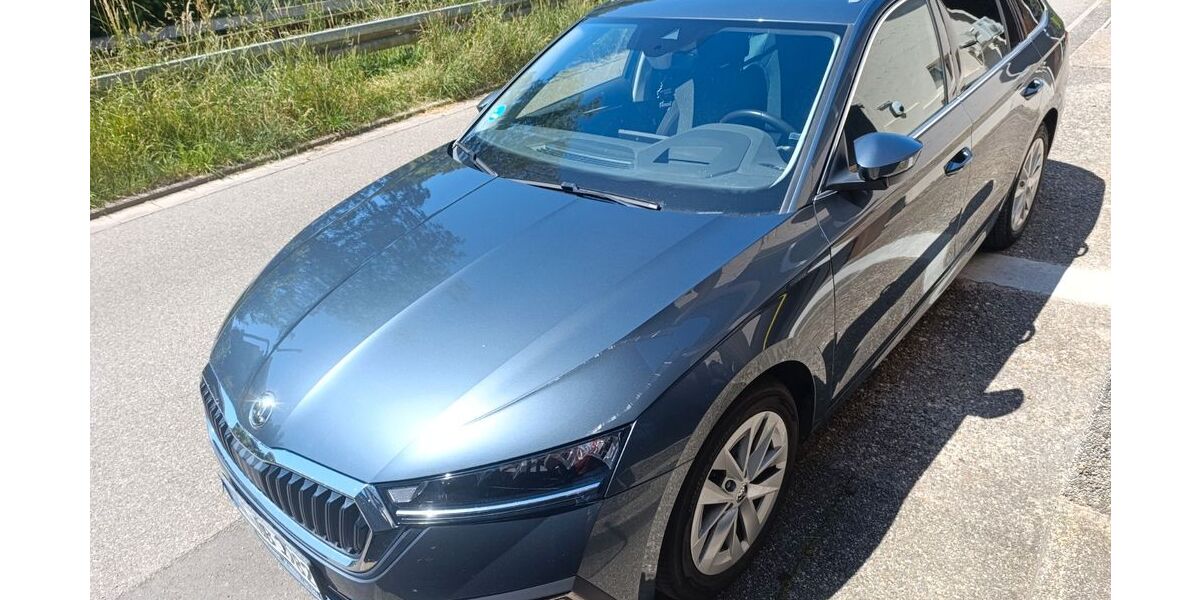 Skoda Octavia 86.000 km 17.500 &euro; Baden-Württemberg - Schorndorf 73614