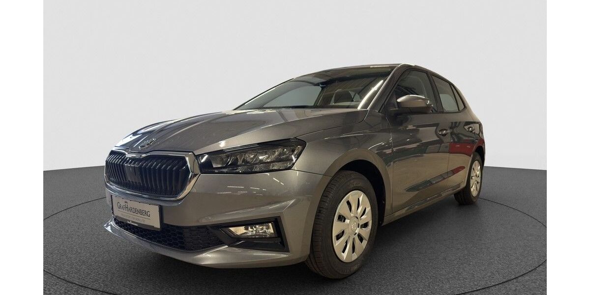 Skoda Fabia 1.150 km 20.490 &euro; Karlsruhe 76131