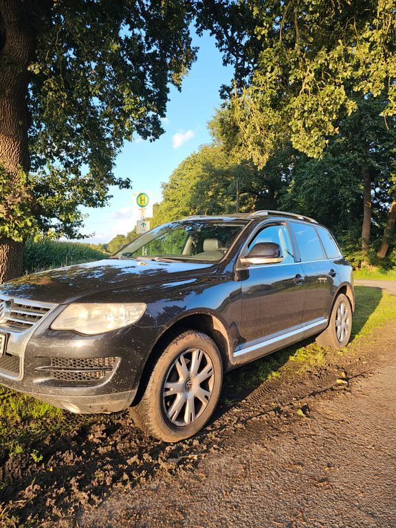 Touareg