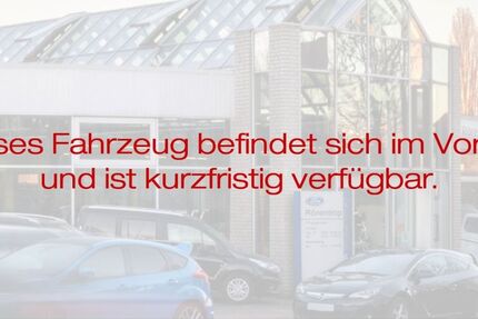 Ford Puma 10.000 km 22.774 &euro; Lünen 44532