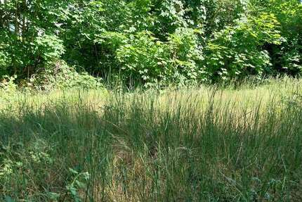 Grundstück zu verkaufen in Falkensee 315.000 € 790 m²