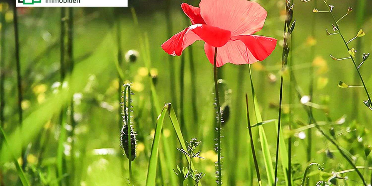 Grundstück zu verkaufen in Wunsiedel 6.000 € 2250 m² zimmer