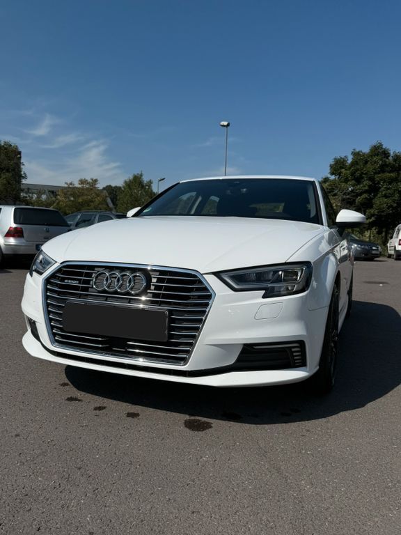 A3