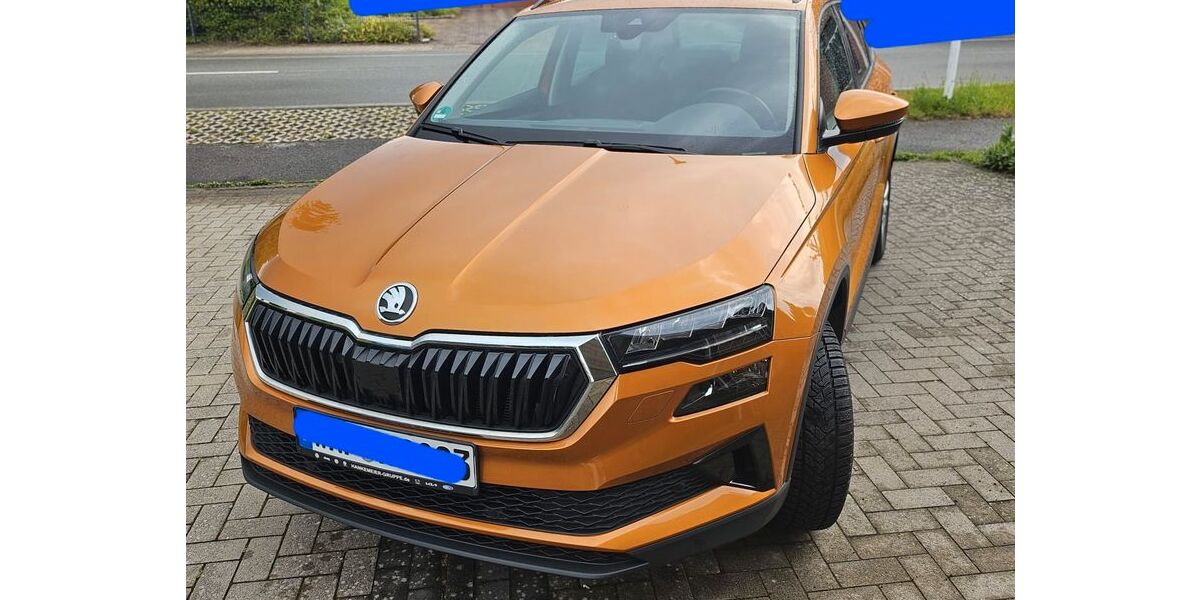 Skoda Karoq 45.000 km 20.490 &euro; Telgte 48291
