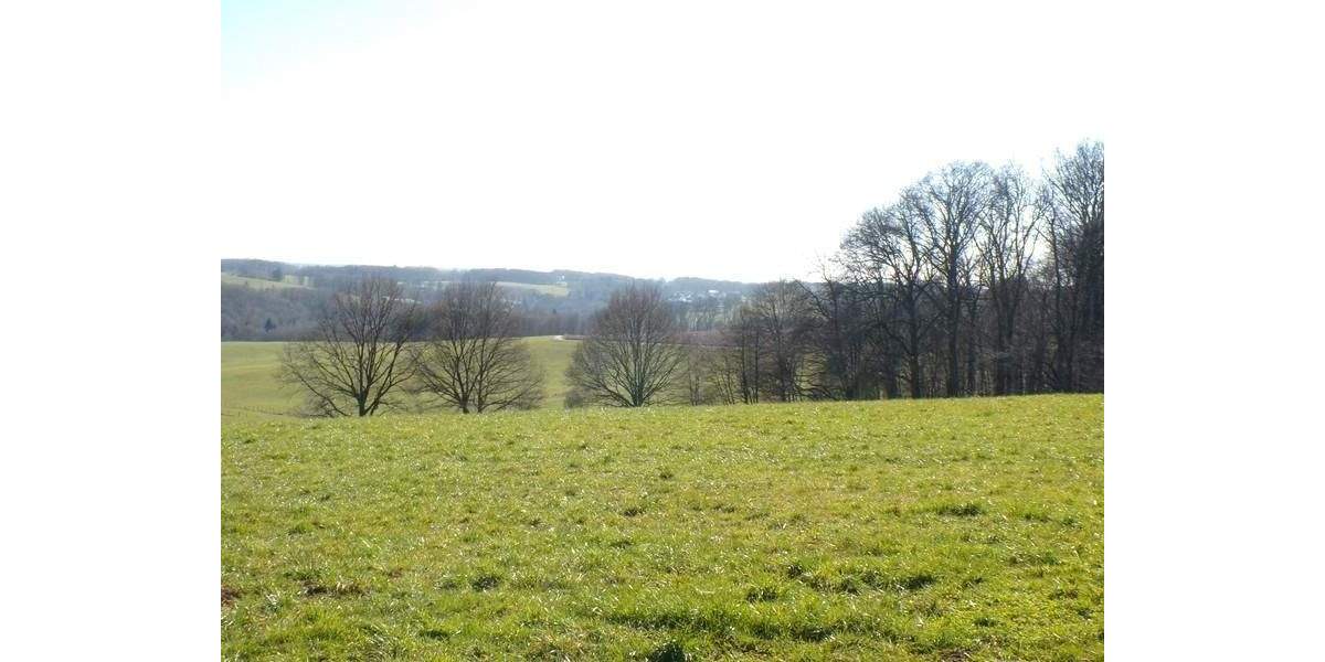 Grundstück Much Loßkittel - 250.000&euro; | Angebot:25038096