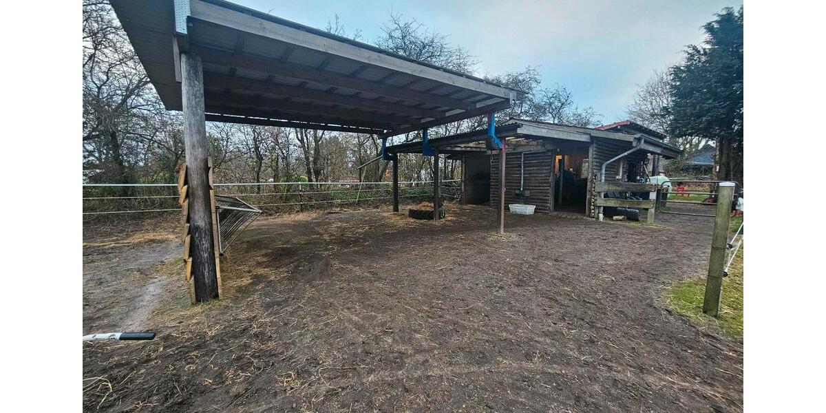 Wohnung mit Pferdehaltung 4 zimmer