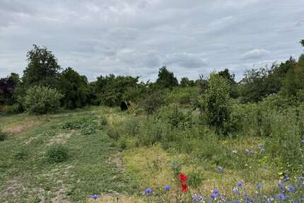 Grundstück zu verkaufen in Hohe Börde OT Niederndodeleben 249.000 € 5800 m² zimmer