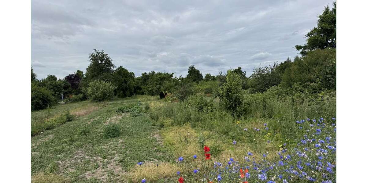 Grundstück zu verkaufen in Hohe Börde OT Niederndodeleben 249.000 € 5800 m² zimmer