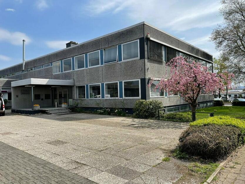 Büro 36 qm - BüroflächenCoWorking - große Fenster, hell