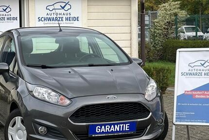 Ford Fiesta 125.000 km 7.950 &euro; Hannover 30419