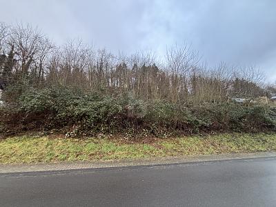 TOP LAGE + PREIS, 2 GRUNDSTÜCKE,EINZELVERKAUF - Grundstück Lieser | Angebot:26008044