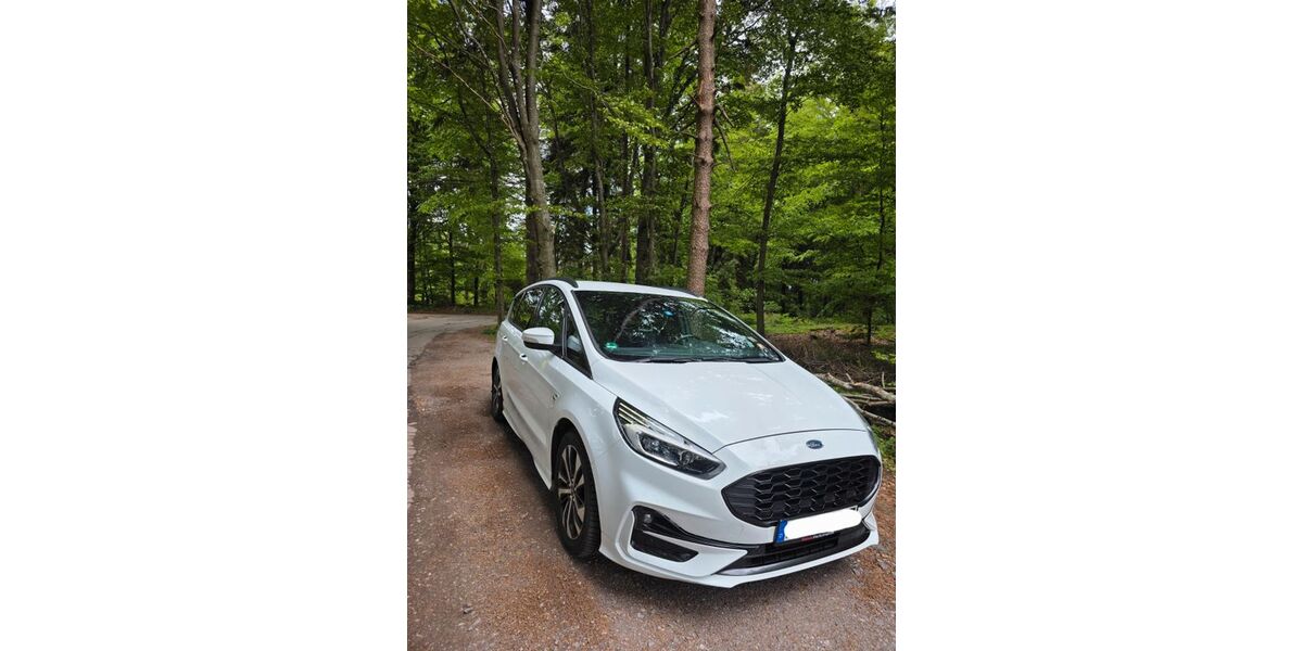 Ford S-Max 164.000 km 13.000 &euro; Rickenbach 79736