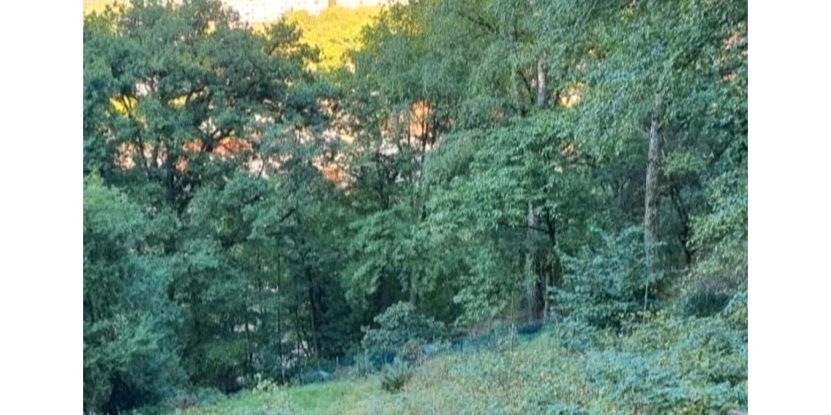 Grundstück Stadtroda - 10.000&euro; | Angebot:26089427
