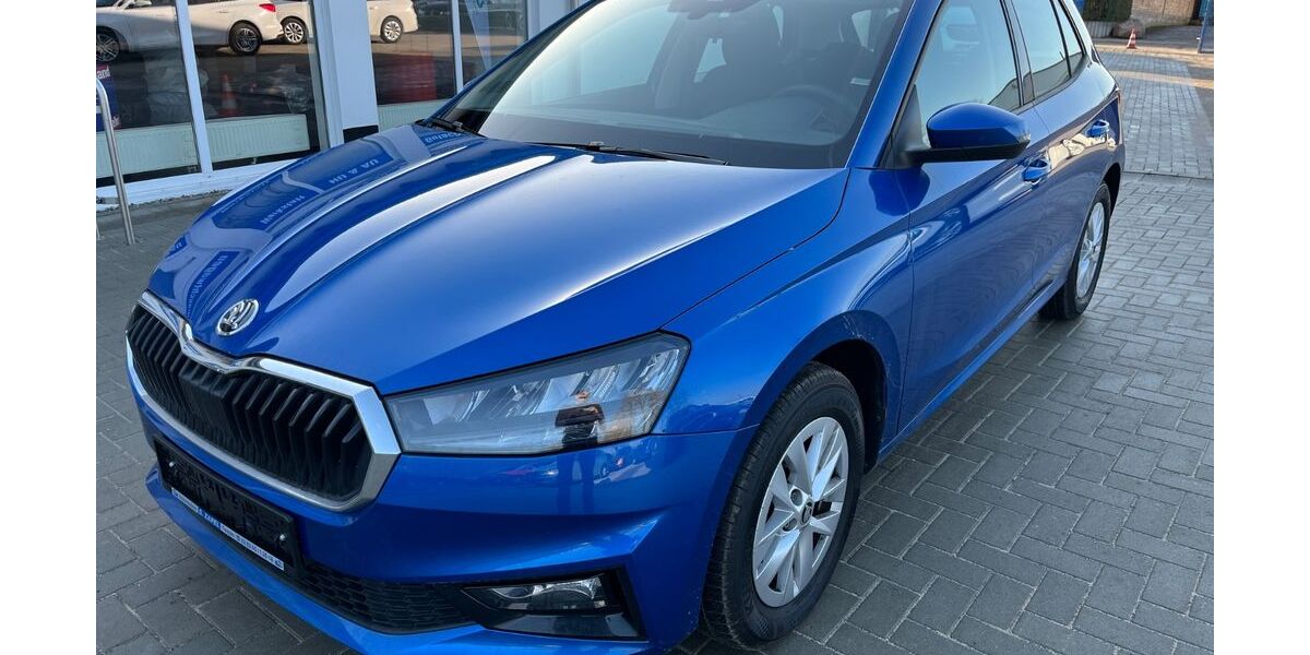 Skoda Fabia 12.970 km 15.990 &euro; Tessin 18195