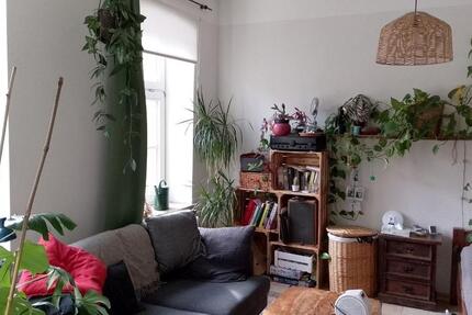 Zimmer in HausWG mit großem Garten 10 zimmer