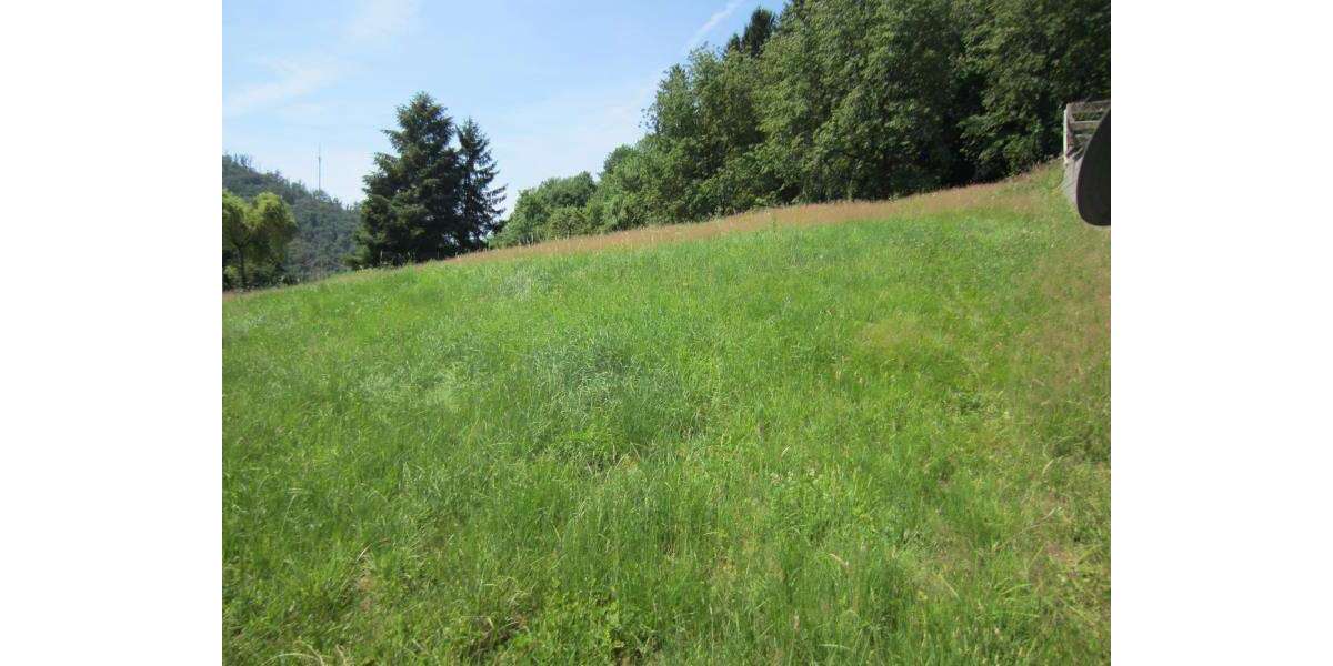 Grundstück Thallichtenberg - 88.000&euro; | Angebot:26958437
