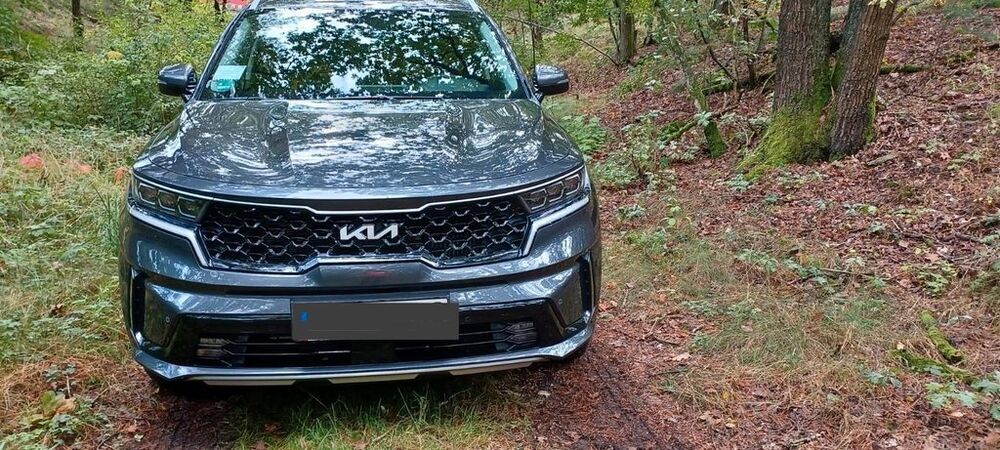 Sorento
