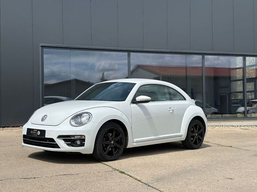 Beetle