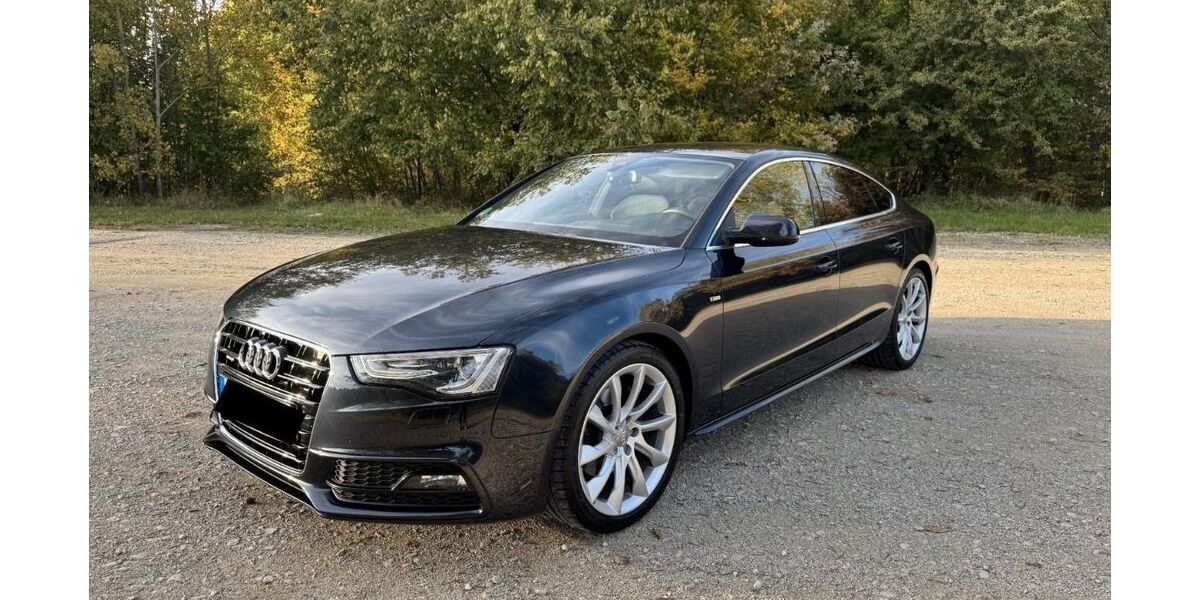 Audi A5 162.000 km 13.500 &euro; Aldersbach 94501