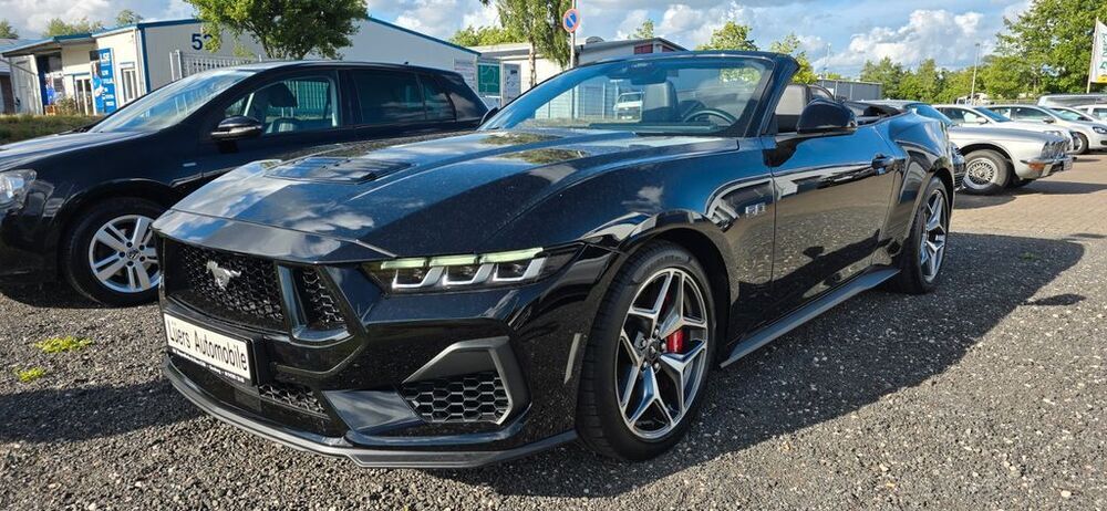 Mustang