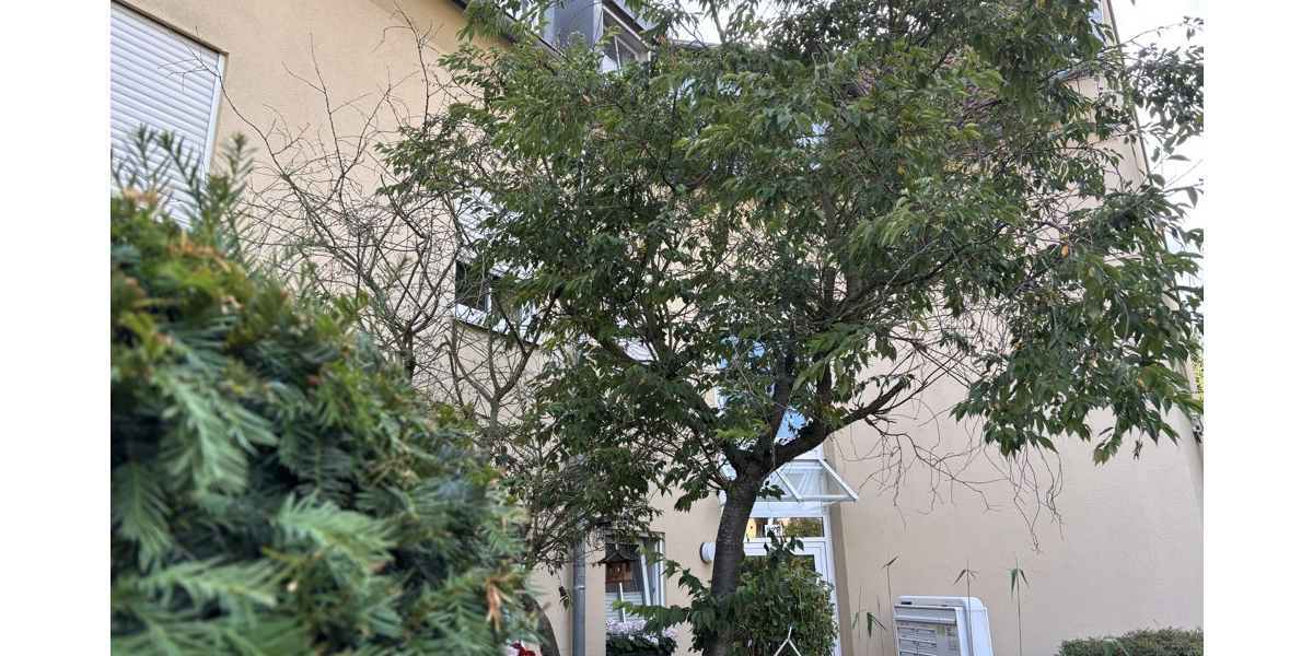 Gemütliche 3-Zimmer-Eigentumswohnung für Ihre Familie oder als Kapitalanlage 3 zimmer