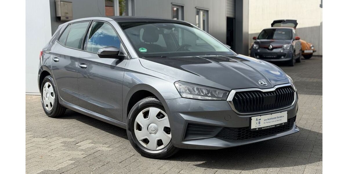 Skoda Fabia 167.607 km 12.490 &euro; Heide 25746
