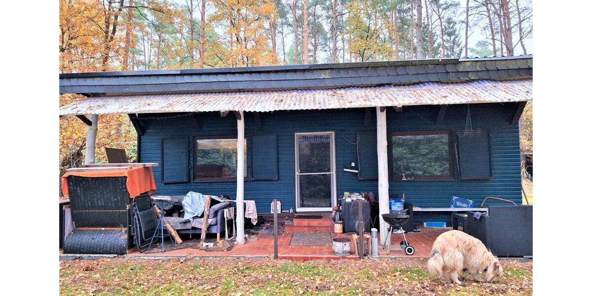 Einfamilienhaus Winsen (Aller) - 2.5 Zimmer, 80 m&sup2;, 115.000&euro; | Angebot:26870815
