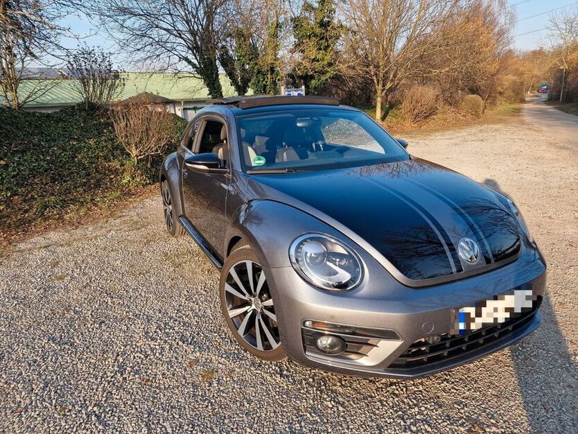 Beetle