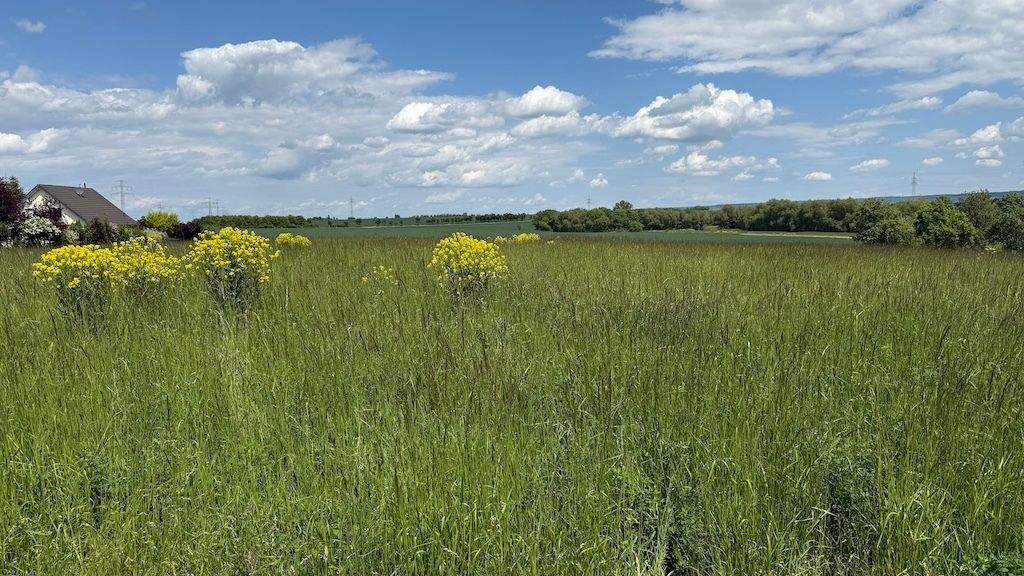 Grundstück Arnstadt Marlishausen - 105.570&euro; | Angebot:24721448