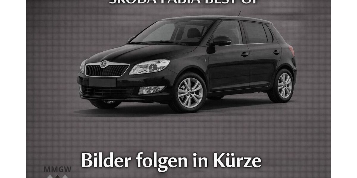 Skoda Fabia 47.882 km 9.490 &euro; Bensheim 64625