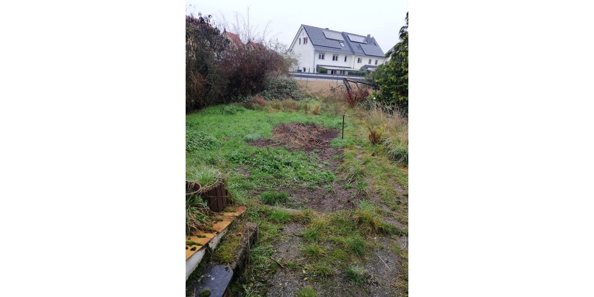 Einfamilienhaus mit großem Anbau - Einfamilienhaus Schifferstadt | Angebot:25280523