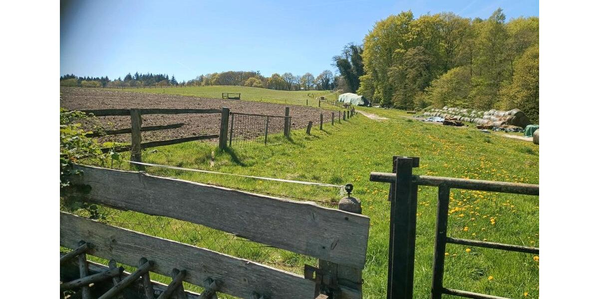 Einfamilienhaus Wingst - 7 Zimmer, 110 m&sup2;, 215.000&euro; | Angebot:26416210
