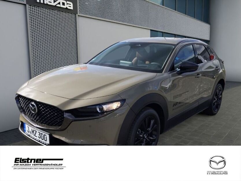 CX-30