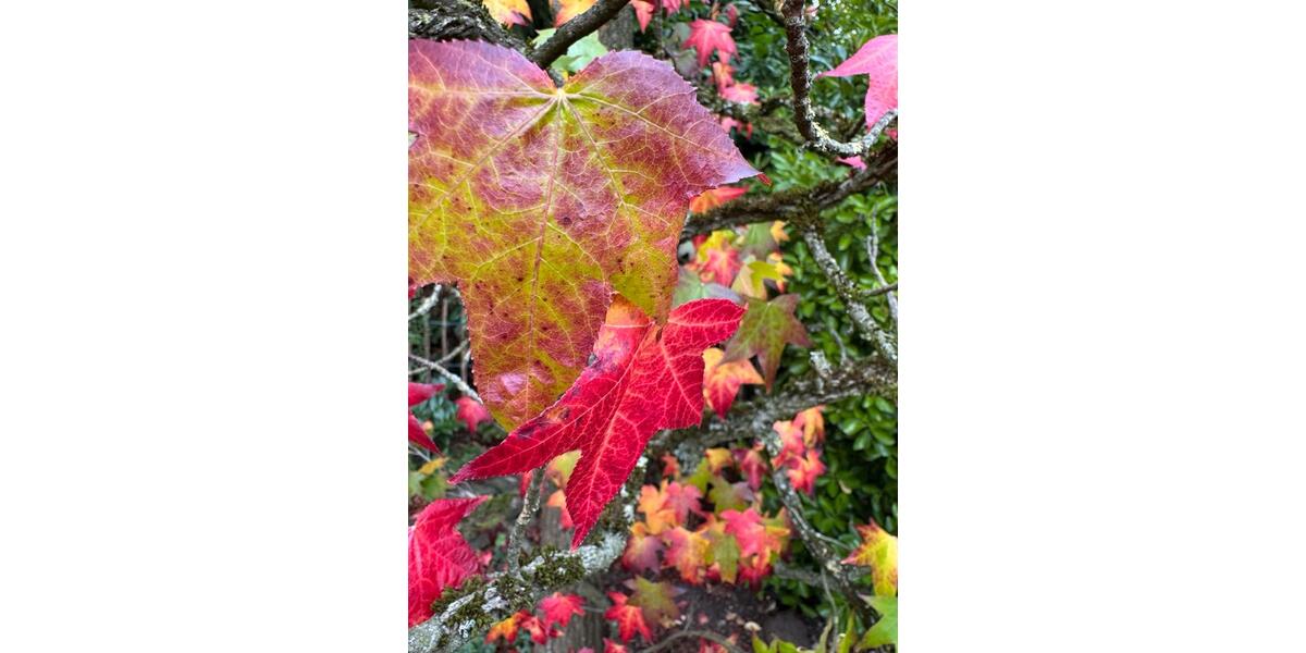 REH Langenfeld ab 0326 4 zimmer