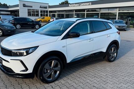 Opel Grandland (X) 3.381 km 25.490 &euro; Wietmarschen / Lohne 49835