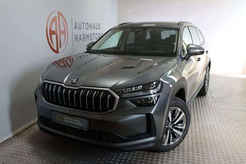 Skoda Kodiaq 1.150 km 38.990 € Harmstorf 21228