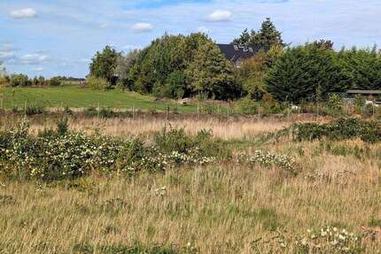 Grundstück Schwerin-Wickendorf Wickendorf - 134.500&euro; | Angebot:24832187