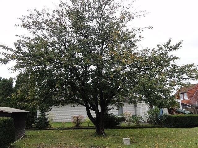 Etagenwohnung Wietze - 3 Zimmer, 98 m&sup2;, 600&euro; | Angebot:24386593