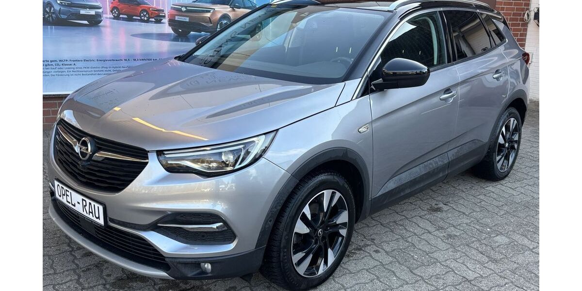 Opel Grandland (X) 89.254 km 17.490 &euro; Brunsbüttel 25541