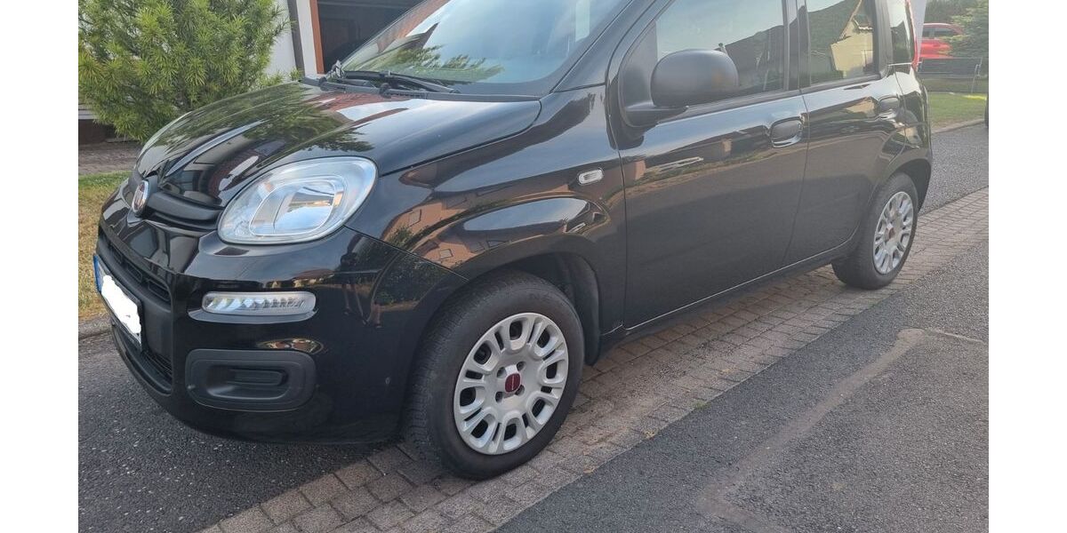 Fiat Panda 24.062 km 7.900 &euro; Gerstungen 99834