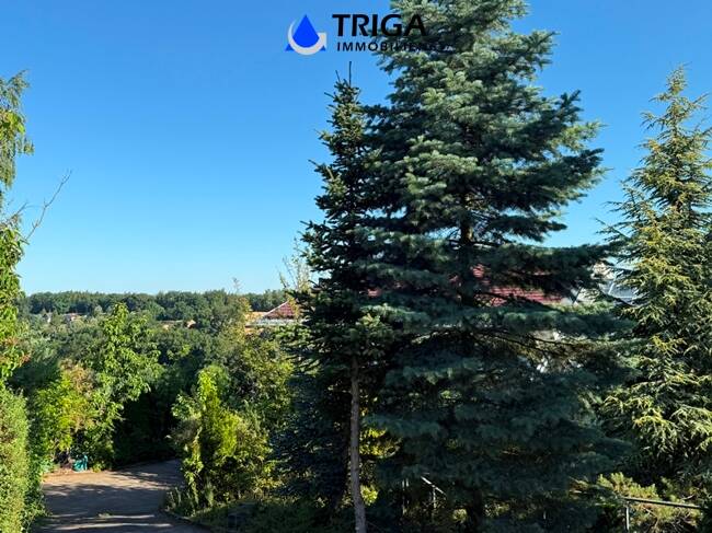 Doppelhaushälfte Nordhausen - 7 Zimmer, 340 m&sup2;, 2.200&euro; | Angebot:22507906