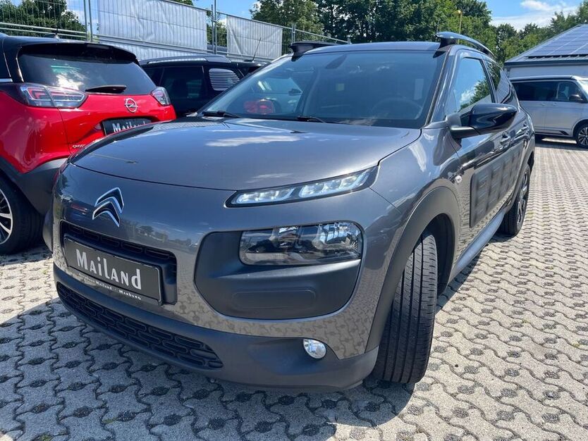 C4 Cactus