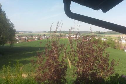 2 Zimmerwohnung mit Küche und Balkon zimmer