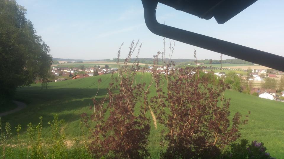 2 Zimmerwohnung mit Küche und Balkon zimmer